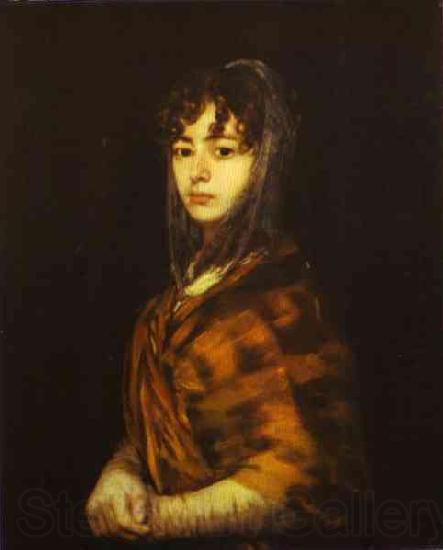 Francisco Jose de Goya Senora Sabasa Garcaa. Norge oil painting art
